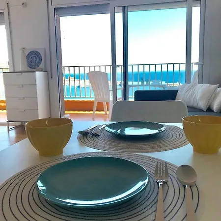 Elm Sant Feliu de Guíxols