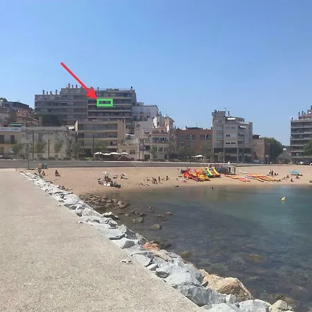 Elm Sant Feliu de Guixols